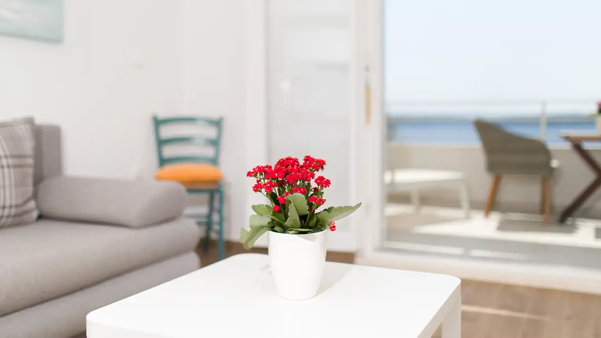 Lanterna Balcony Suite - 4
